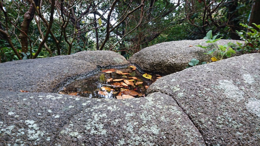 足摺岬