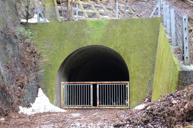 雛鶴隧道