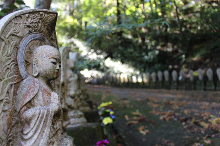 願成寺山の坊 不動堂