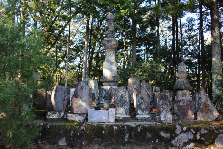 願成寺山の坊 不動堂