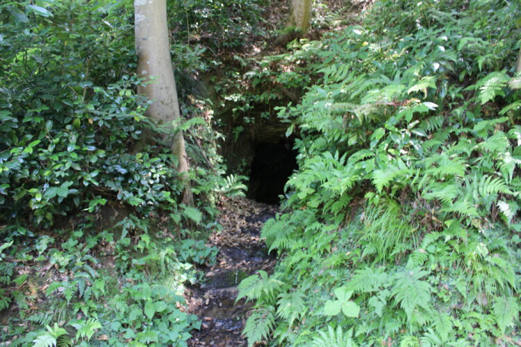 錦城山公園（大聖寺城跡）