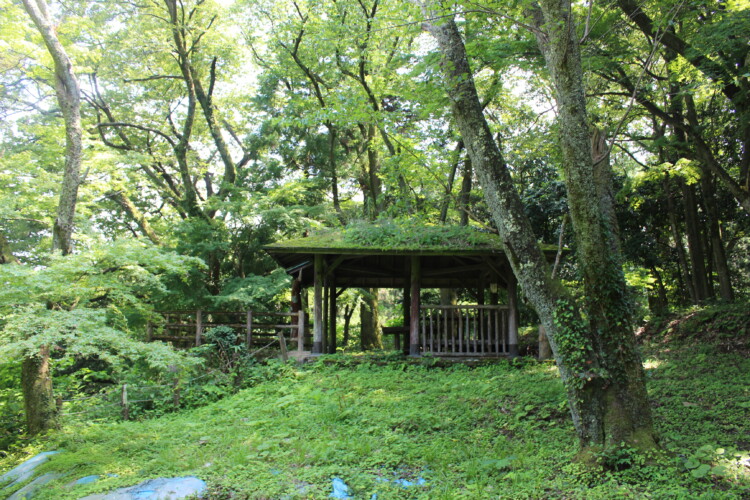 錦城山公園（大聖寺城跡）