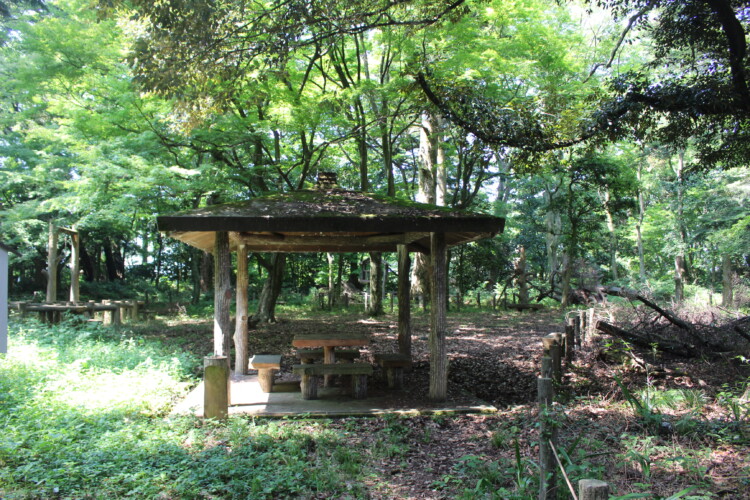 錦城山公園（大聖寺城跡）