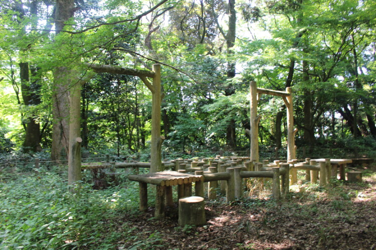 錦城山公園（大聖寺城跡）