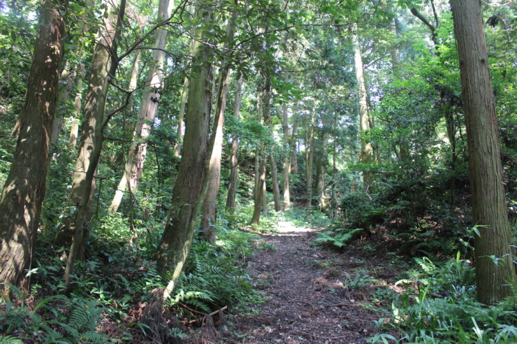 錦城山公園（大聖寺城跡）