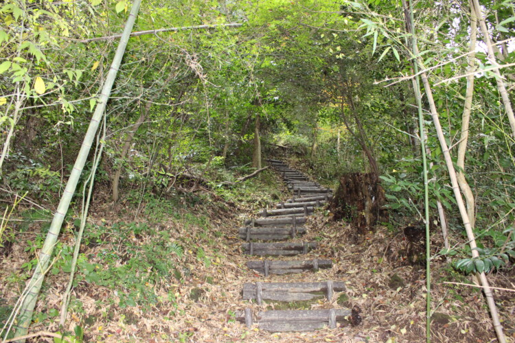 古羅漢探勝道