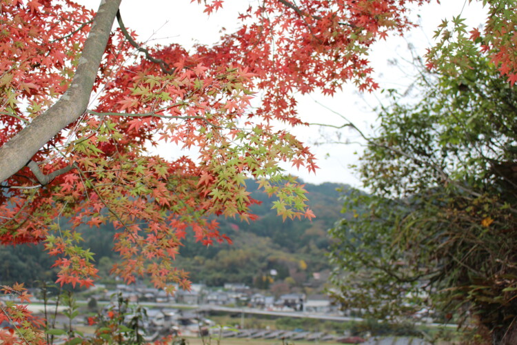古羅漢探勝道