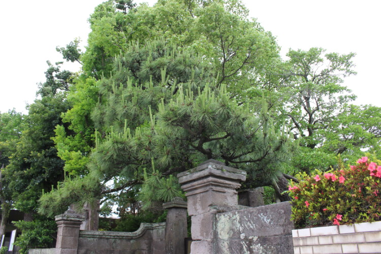 内城