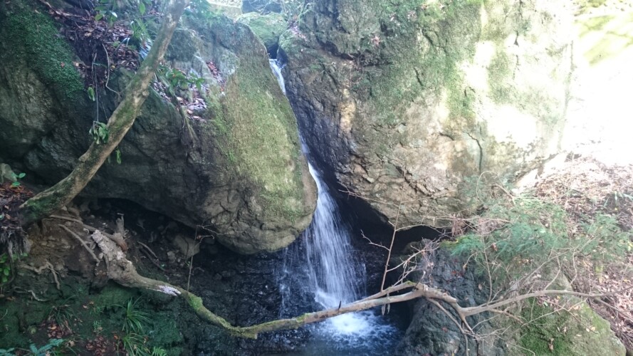 檜原村の滝