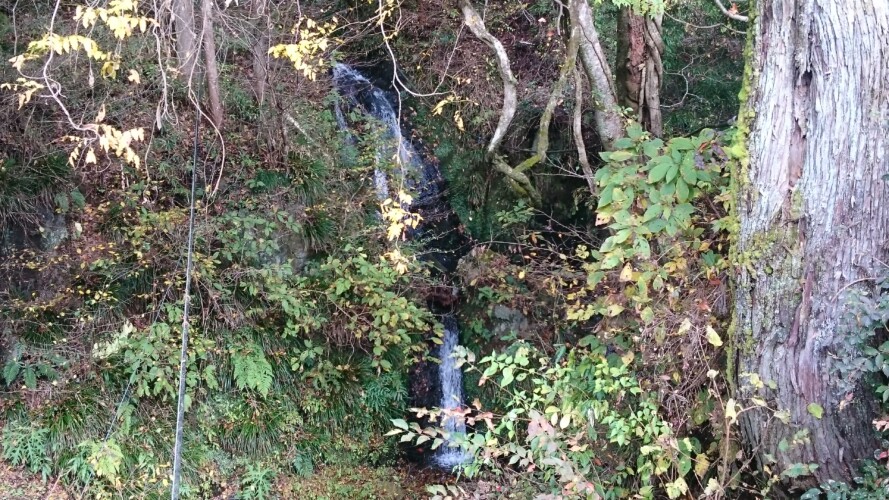 檜原村の滝