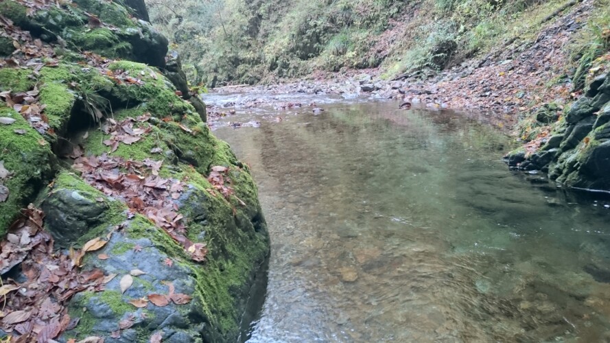 檜原村の滝