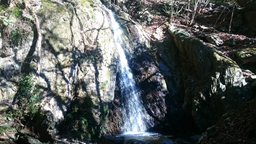 檜原村の滝