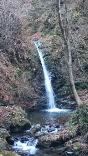 檜原村の滝