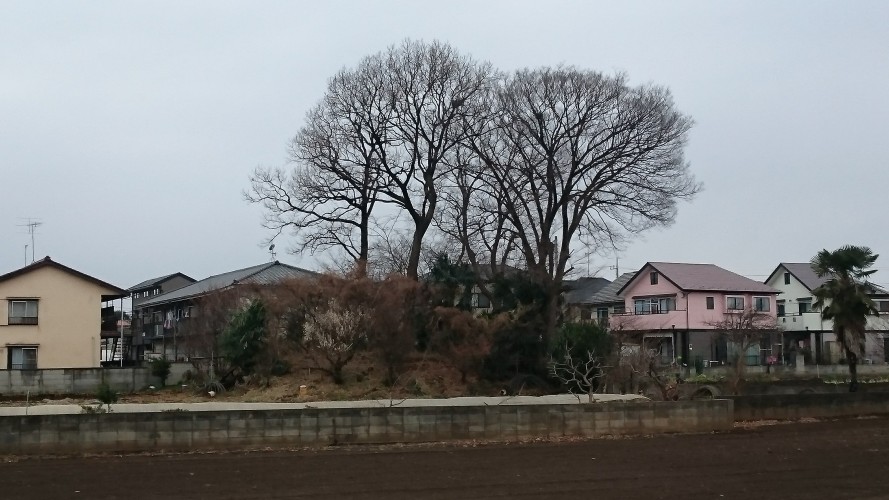 狛江市