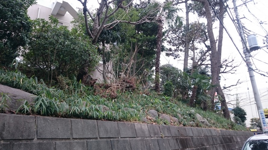 狛江市