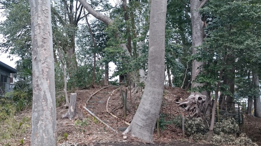 狛江市