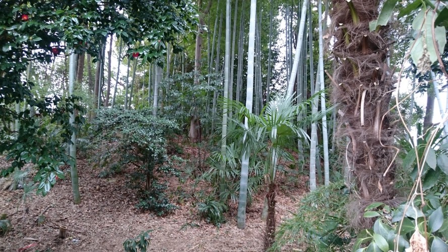 狛江市