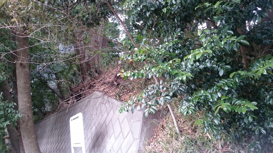狛江市