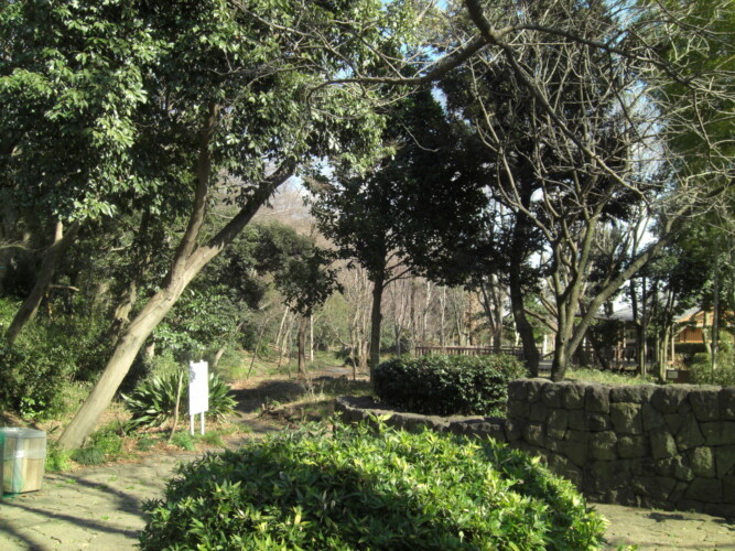 国立市