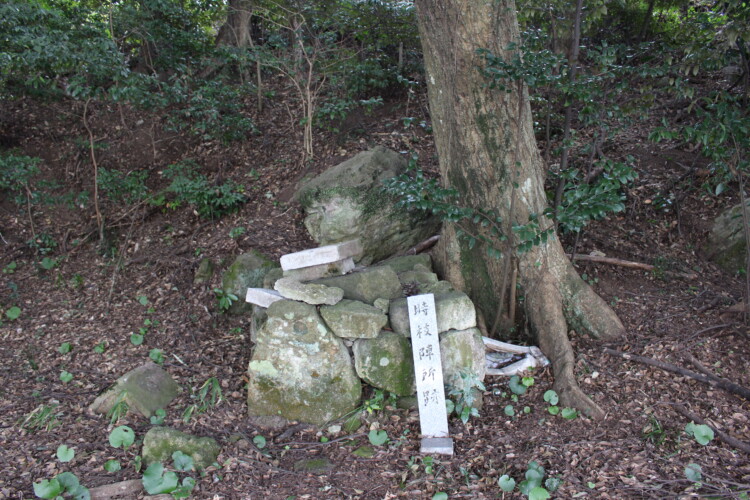 石垣原の戦い