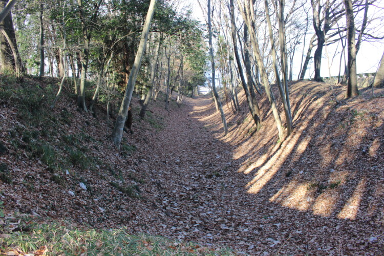 飛山城