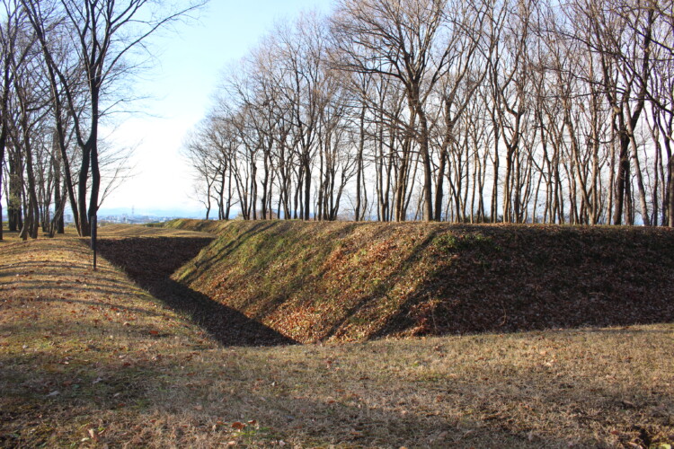 飛山城