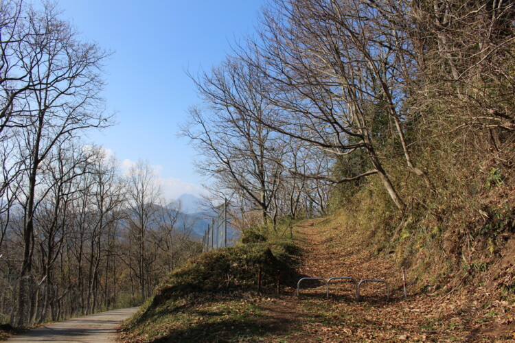 高崎山城
