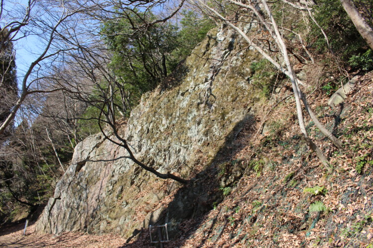 高崎山城