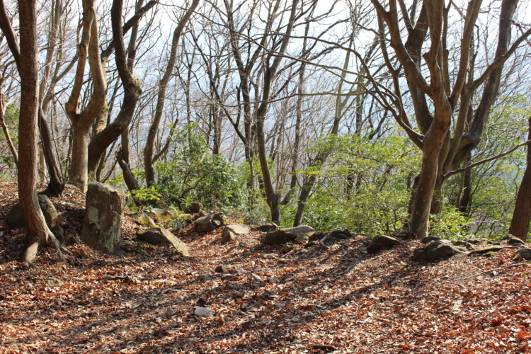 高崎山城