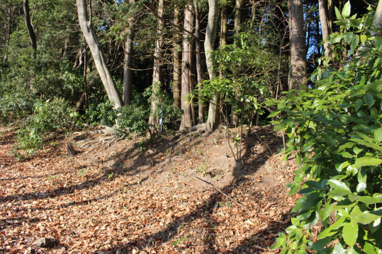 高崎山城