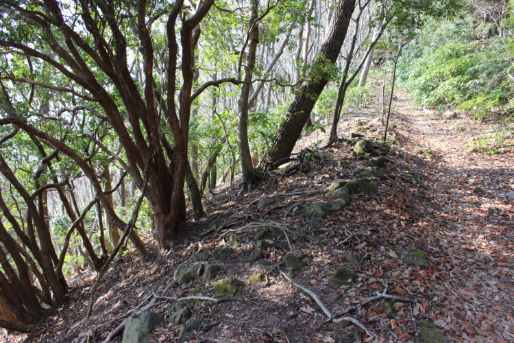高崎山城