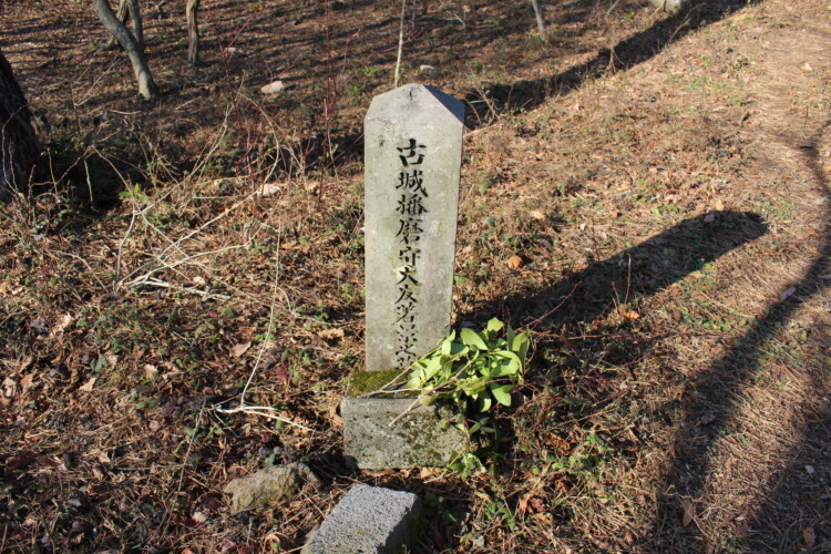 高崎山城