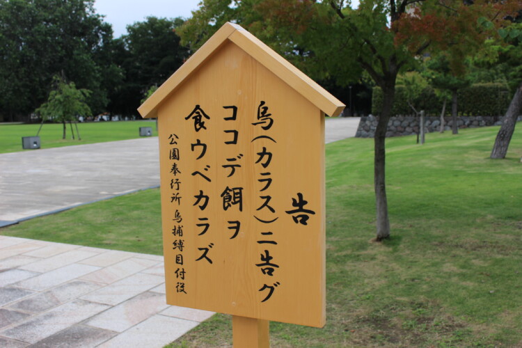 富山城