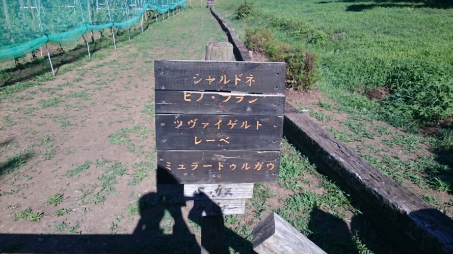 シャトーカミヤ