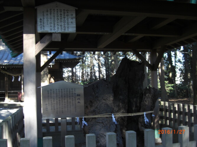 新田義貞