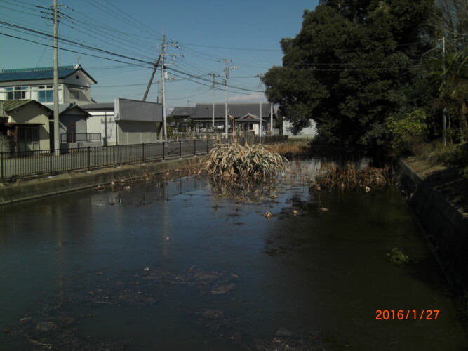 新田義貞