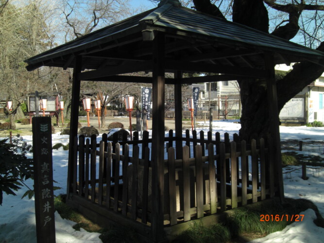 新田義貞