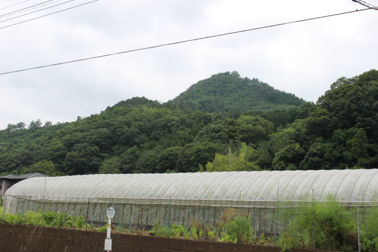 桐生城