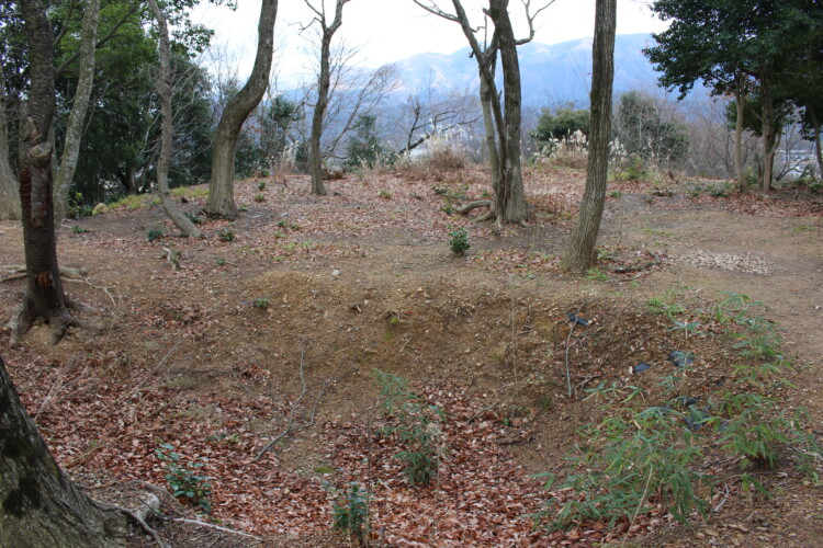 佐和山城