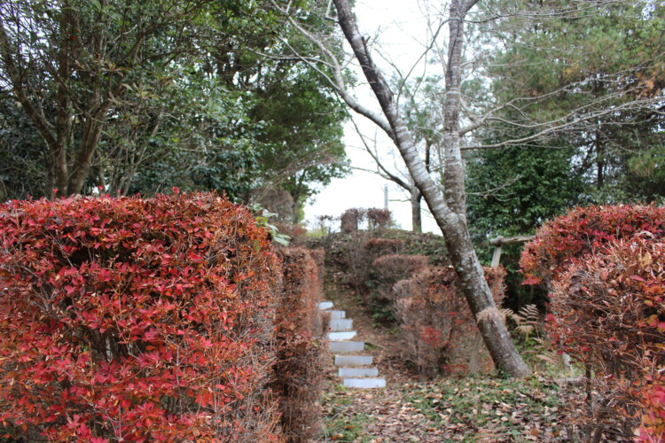 吉弘城跡