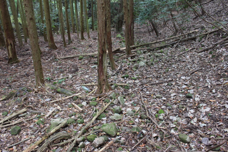 吉弘城跡