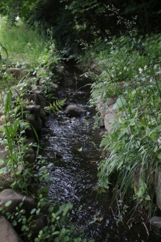 龍神の井戸