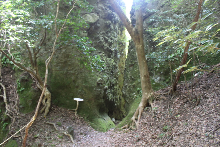 両子山
