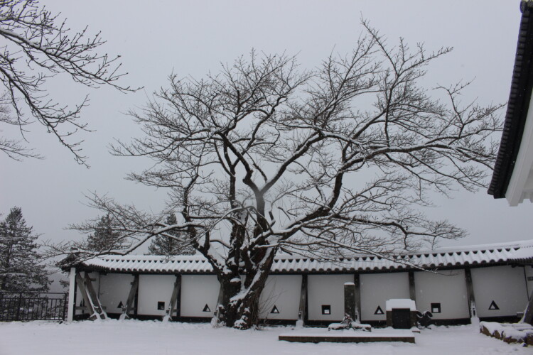 白河小峰城