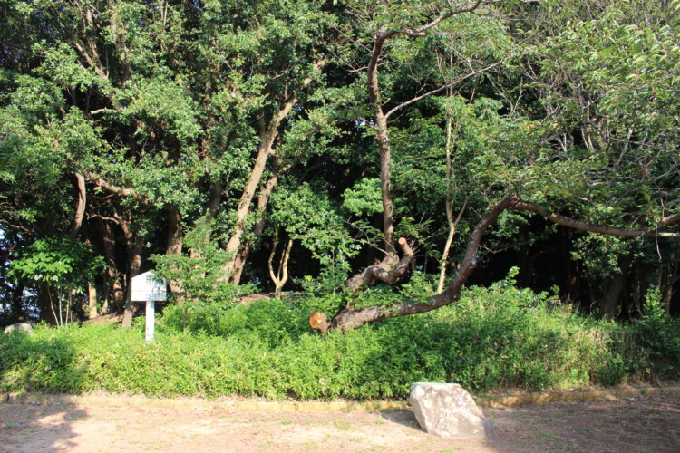 明石城
