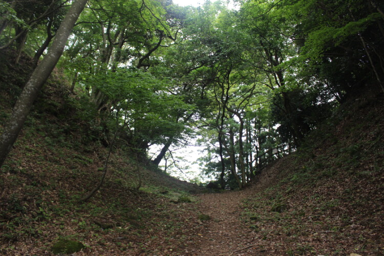 七尾城