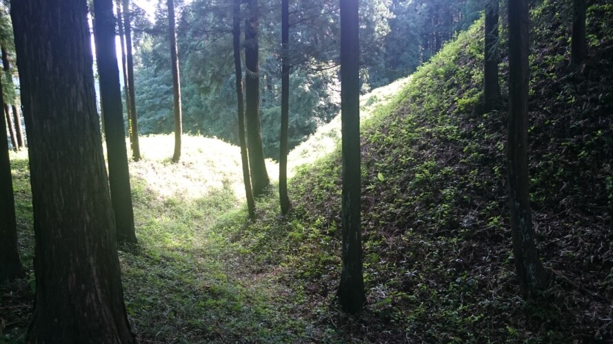 岩櫃城