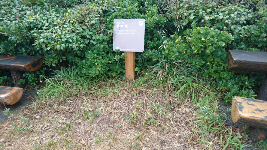 足摺岬