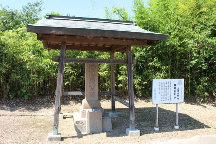 勝瑞城